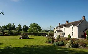 O'Briens Cashel Lodge Exterior photo