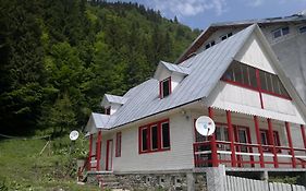 Cabana Dara Villa Cumpăna Room photo