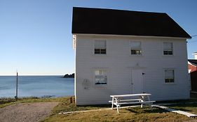 The Old Salt Box Co - Gertie'S Place Villa Twillingate Exterior photo