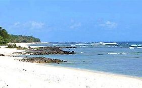 Alofa Beach Bungalows Tanna Island Exterior photo