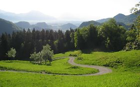 Vaznik Farm House Apartments Bled Exterior photo