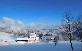 Urlaub Am Bauernhof Blamauer Kohr Göstling an der Ybbs Exterior photo