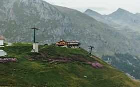 Albergo Ristoro Sitten Gressoney-la-Trinité Exterior photo