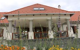 Villa Tolnay Vendégház Gyulakeszi Exterior photo