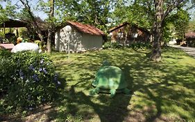 Beit Nofesh Waiss Villa Bét Hillél Exterior photo