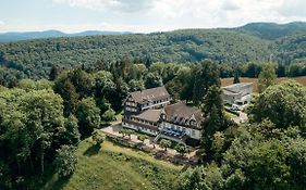 Bienenberg - Das Genusshotel Im Gruenen - Liestal Exterior photo