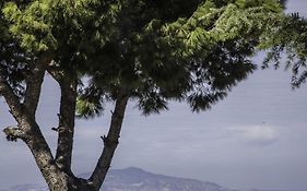 Il Giardino Dell'Arte Panzió Anacapri  Exterior photo