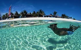 Bohio Dive Resort Nagy Turk-sziget Exterior photo