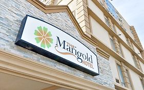 The Marigold Hotel Brampton Exterior photo