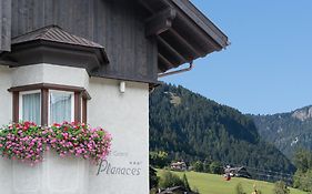 Hotel Garni Planaces Ortisei Exterior photo