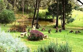 Countryside Connections Tranquil Studio Hotel Hepburn Springs Exterior photo