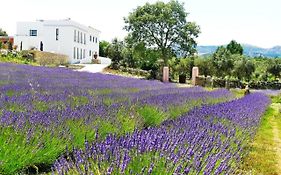 Quinta Das Lavandas Castelo de Vide Exterior photo