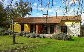 Casa Das Palmeiras-Pedagogic Farm Mangualde Exterior photo