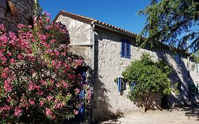 The Istrian Villa Vrsar Exterior photo