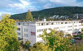 Zum Ziel Hotel Grenzach-Wyhlen Bei Basel Exterior photo