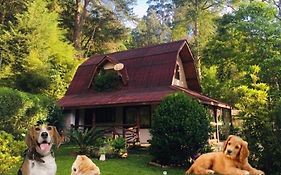 Casa Na Floresta Em Campos Do Jordao Villa Exterior photo