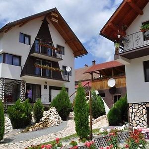 Pensiunea Filonul De Aur Hotel Abrudbánya Exterior photo