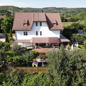 Podgoria Guesthouse- Camere De Inchiriat Nagyvárad Exterior photo