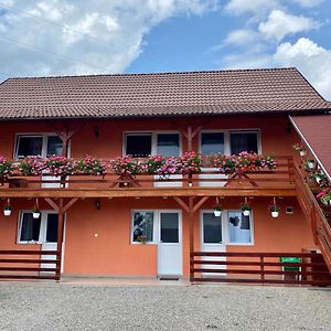 Casa Gabriela Hotel Szováta Exterior photo