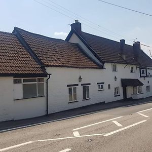 The Dog Inn Bristol Exterior photo