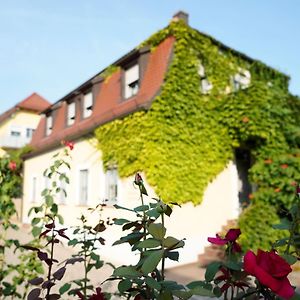 Weingut Martin Blass Hotel Erlabrunn Exterior photo