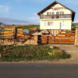 Pensiunea Agroturistica Casa Sirca Szilágybagos Exterior photo