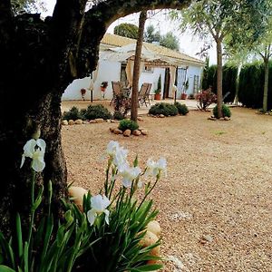 La Casa Del Abuelo Jose Vendégház Marmolejo Exterior photo