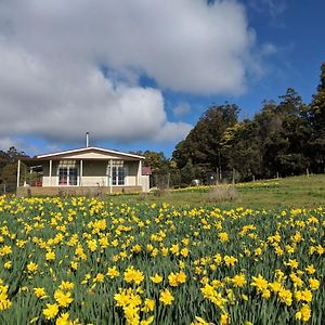 Mountain Blue Guest House Deloraine Exterior photo