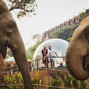 Anantara Golden Triangle Elephant Camp & Resort Csiangraj Exterior photo