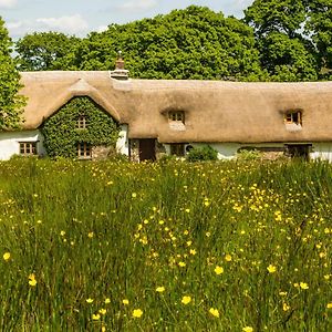 Hay Meadow Farm Panzió Beaworthy Exterior photo