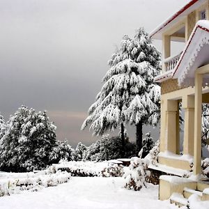 Tree Of Life Grand Oak Manor Binsar Hotel Exterior photo