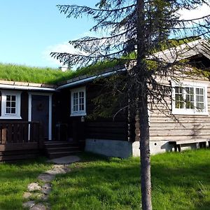 Koselig Familiehytte Sentralt Pa Skeikampen Til Leie Villa Svingvoll Exterior photo