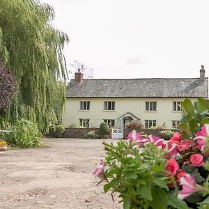 Lower Ford Farm Panzió Cullompton Exterior photo