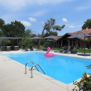 Les Terrasses Des Mimosas Panzió Caumont-sur-Garonne Exterior photo