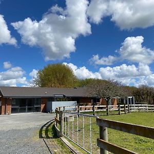 Unique Equestrian Lifestyle Panzió Tamahere Exterior photo