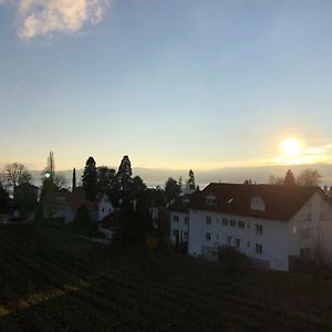 Ferienwohnungen Weingut Deufel Lindau  Exterior photo