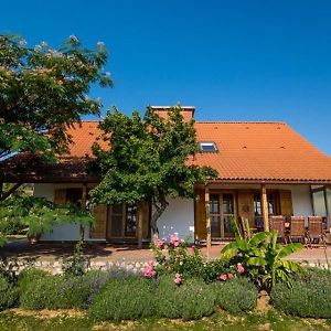 BorászPorta Hotel Villány Exterior photo