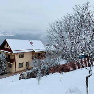 Cabana Muntele Paltinei Villa Hidegszamos Exterior photo