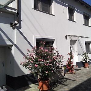 Ferienhaus Fam. Bisgen Apartman Niederkirchen bei Deidesheim Exterior photo