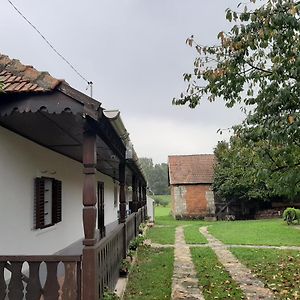 Bodrogparti Vendégház Sárazsadány Hotel Exterior photo