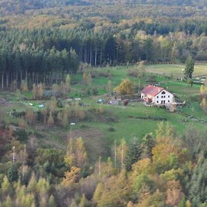 "La Belle Chambre" Dans Une Ferme Avec Etang Prive Dans La Region Des Mille Etangs Faucogney-Et-La-Mer Panzió Ecromagny Exterior photo