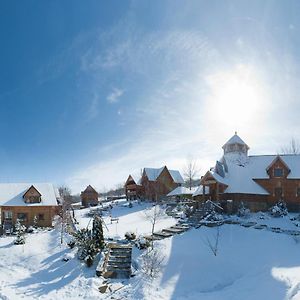 Новий Сезон Hotel Viharos Exterior photo