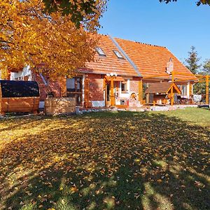 Agroturystyka Ginkgo Villa Sulislaw  Exterior photo