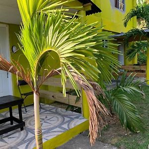 Tha Lagoon Spots Cool Vybz Apartman Port Antonio Exterior photo