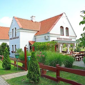 Nyerges Vendégfogadó Panzió Hegykő Exterior photo