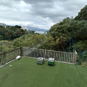 Quiet Location With View And Public Transport Apartman Wellington Exterior photo