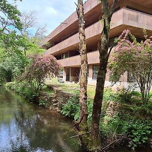 Moleiro Da Costa Ma Hotel Sever do Vouga Exterior photo