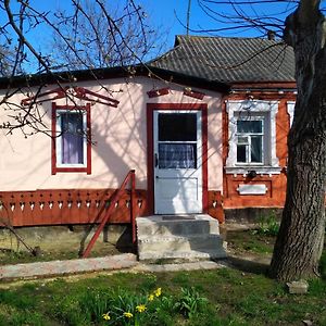 Divo Villa Bohuszlav Exterior photo