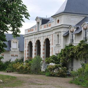 L'Orangerie Du Chateau - Le Nid - Gite 2 Personnes Apartman Brain-sur-Allonnes Exterior photo