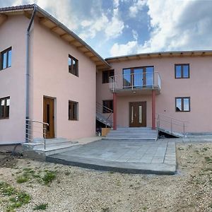 Casa Bia Cribo Sannicolau De Munte - Bai Termale Hotel Székelyhíd Exterior photo